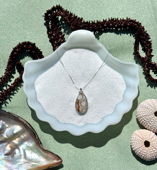 Teardrop Fossilized Coral Necklace