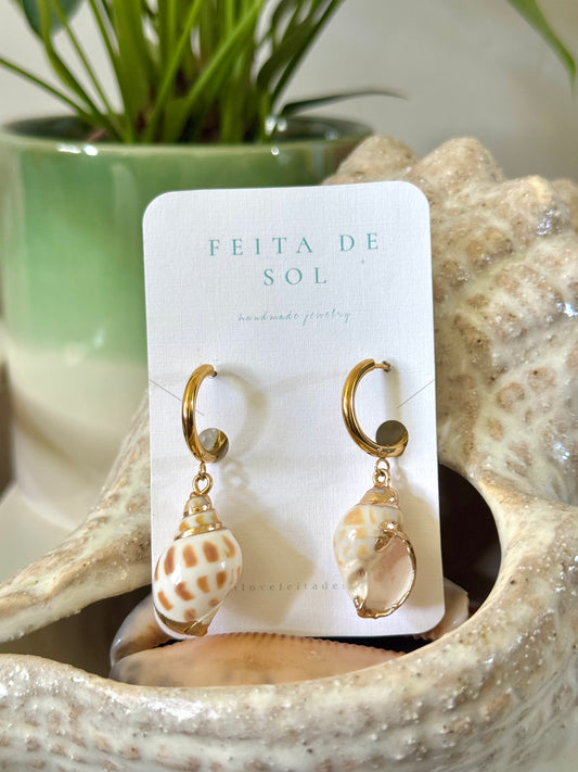 Babylonia Areolata Shell Earrings
