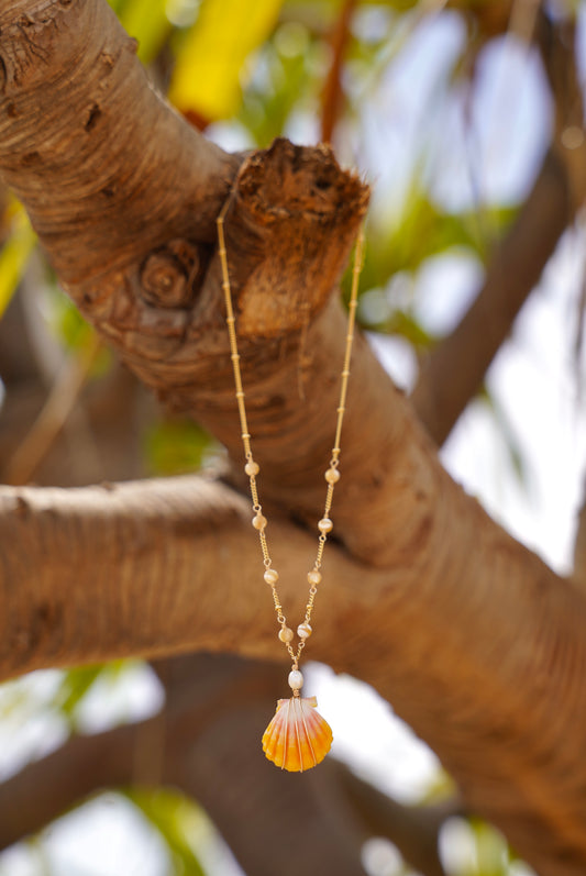 Mini Sunrise Shell Necklace