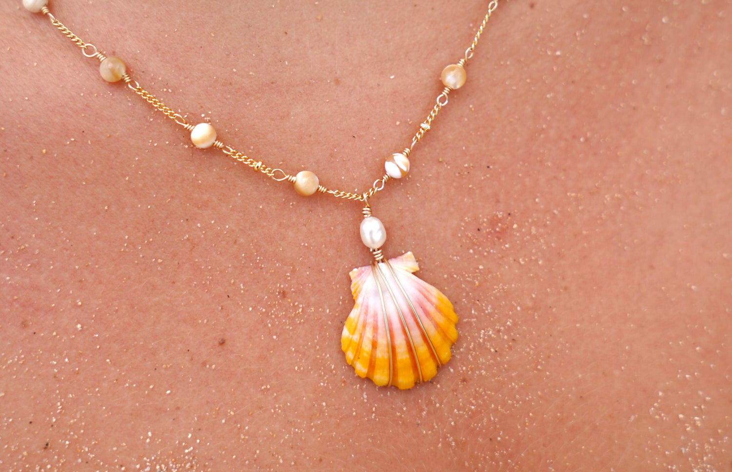 Sunrise Shells