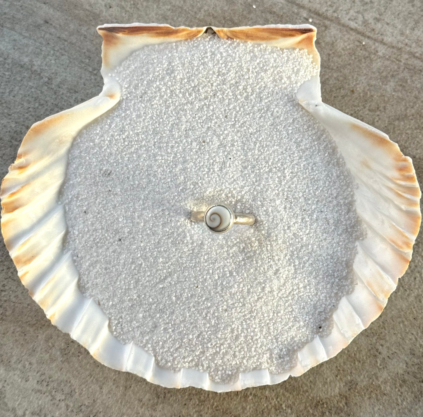 Swirl Shell Ring