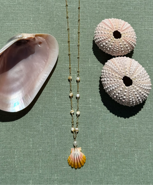Mini Sunrise Shell Necklace